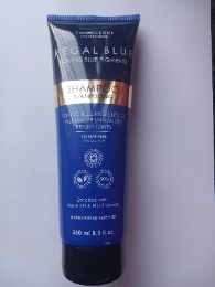 Two Oceans Gegal Blue Shampoo 250ml