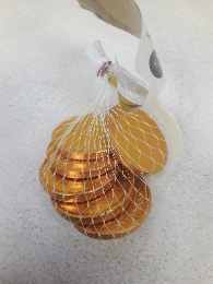 Chocolate Gold Coins 30g