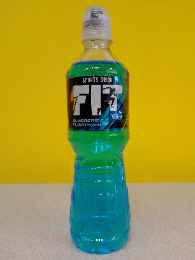Fit Sports Drink Bleuberry 500ml